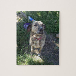 Puzzle américain de Pit Bull Terrier