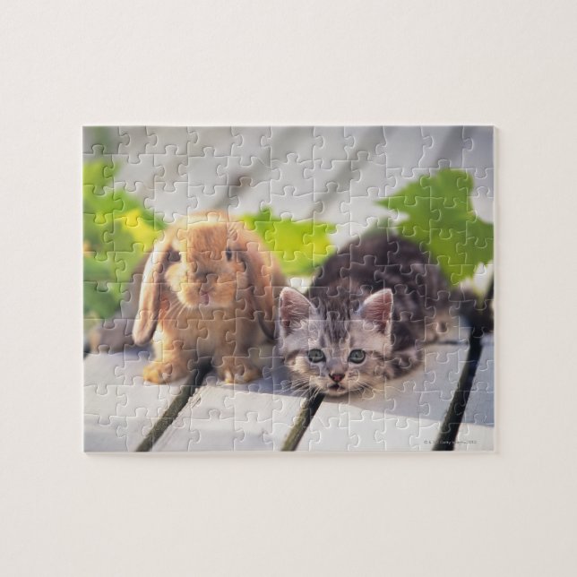 Puzzle Américain Shorthair et lapin (Horizontal)
