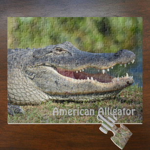 Puzzle American Alligator - Photographie de la faune