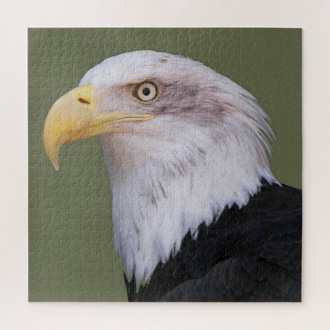 Puzzle American Bald Eagle Photo (Vertical)