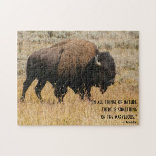 Puzzle American Bison Grazin Meadow Grass Photo personnal