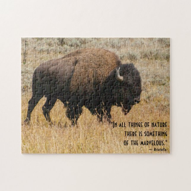 Puzzle American Bison Grazin Meadow Grass Photo personnal (Horizontal)