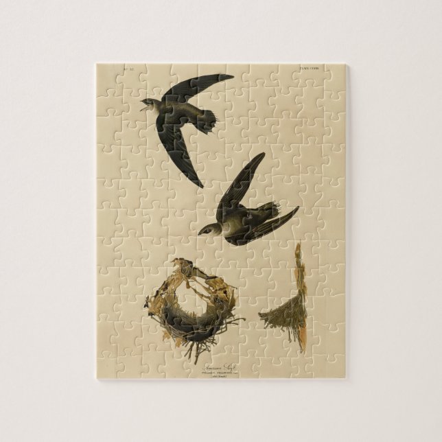 Puzzle American (Chimney) Swift Audubon, Birds of America (Vertical)