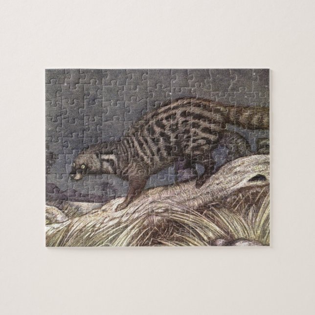 Puzzle American Civet par Louis Sargent, Animaux Vintages (Horizontal)
