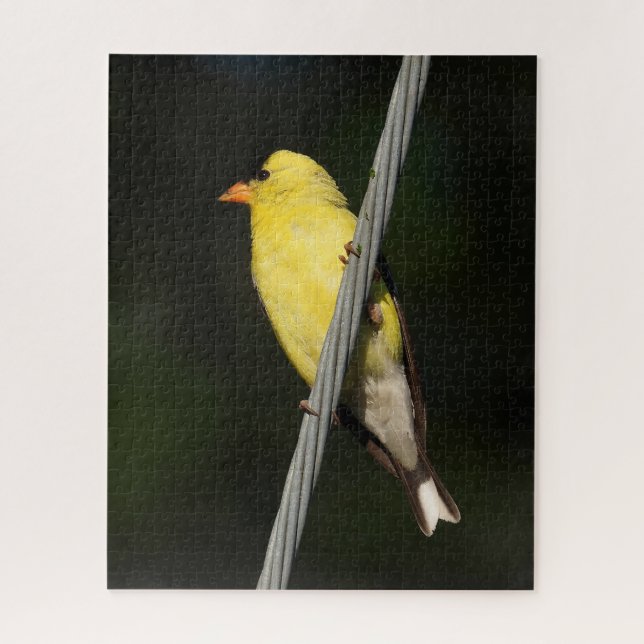 Puzzle American Gold Finch -Dark Green background (Vertical)