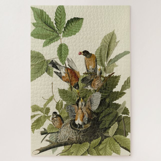 Puzzle American Robin from Audubon's Birds of America (Vertical)