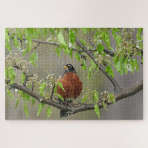 Puzzle American Robin Perché sur Branche avec fleurs prin