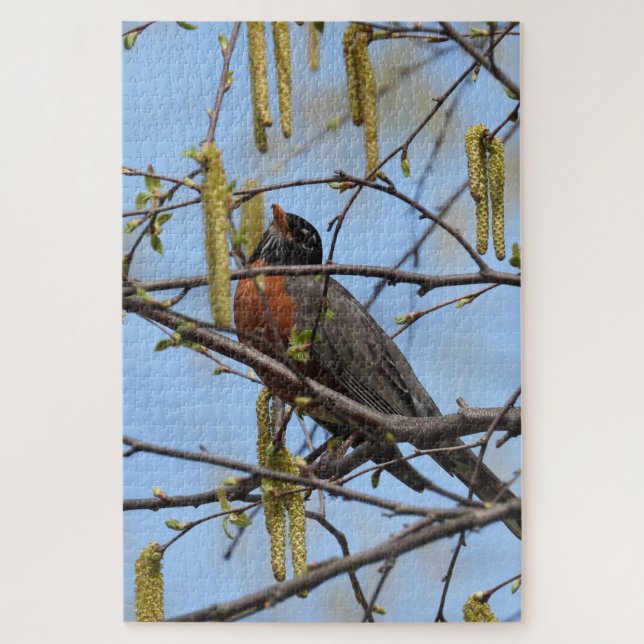 Puzzle American Robin perché sur une branche avec des cha (Vertical)