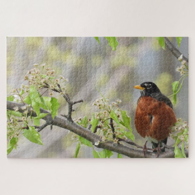Puzzle American Robin perché sur une branche fleurie (Horizontal)