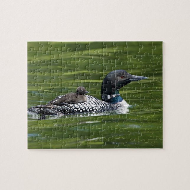 Puzzle Amérique du Nord, Canada, Colombie-Britannique, La (Horizontal)