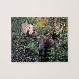 Puzzle Amérique du Nord, Canada, Nouvelle-Écosse, Cap-Bre