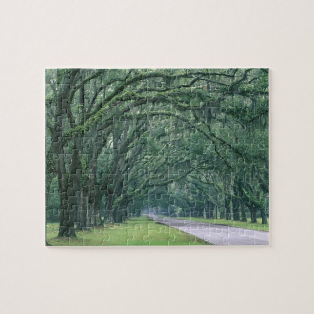 Puzzle Amérique du Nord, États-Unis, Géorgie, Savannah, (Horizontal)