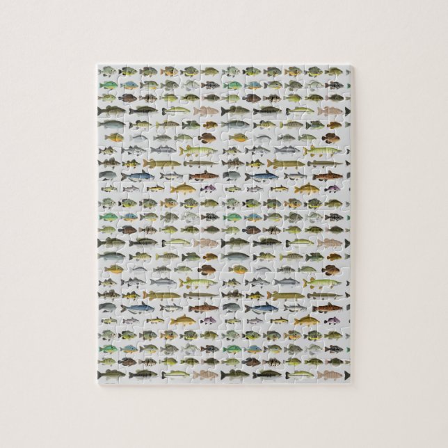 Puzzle Amérique du Nord Groupe de poissons d'eau douce (Vertical)