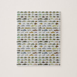 Puzzle Amérique du Nord Groupe de poissons d'eau douce t