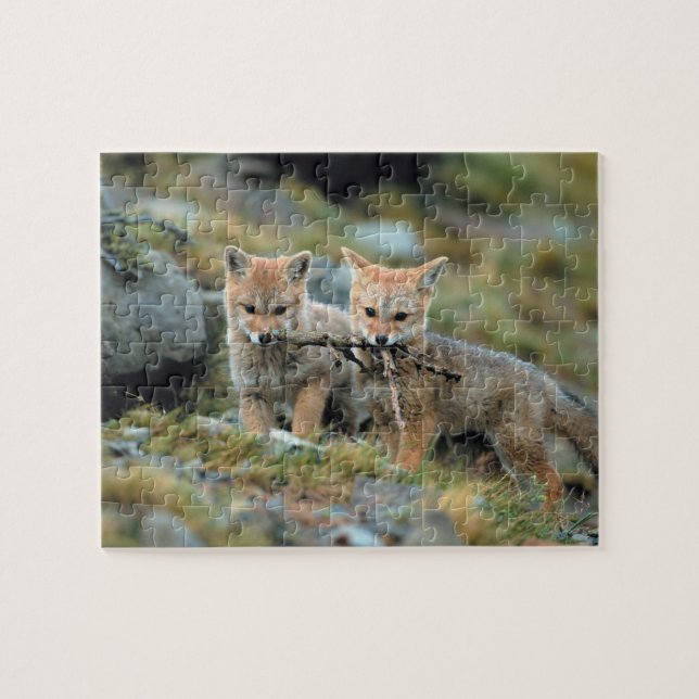 Puzzle Amérique du Sud, Chili, Torres del Paine National (Horizontal)