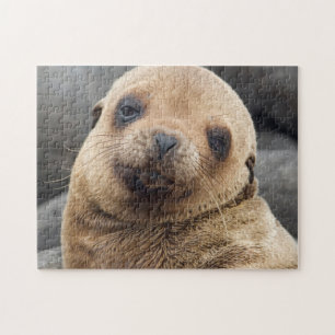 Puzzle Amérique du Sud, Équateur, îles Galapagos