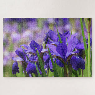 Puzzle Améthyste Purple Irises Jardin Floral