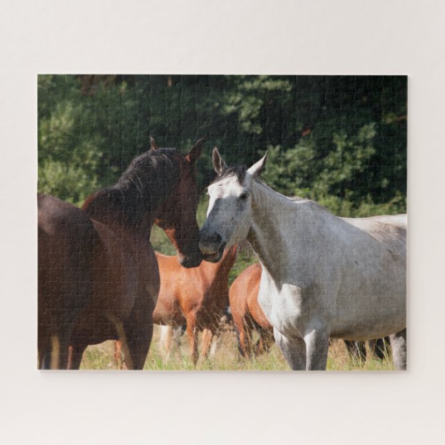 Puzzle Amis chevaux (Horizontal)