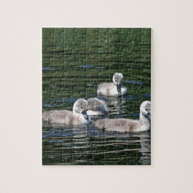 Puzzle Amis de bain (Vertical)