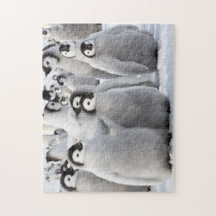 Puzzle Amis de pingouin