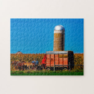 Puzzle Amish Indiana.