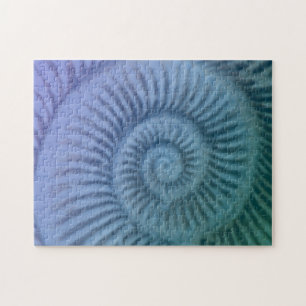 Puzzle Ammonite violette et verte en spirale