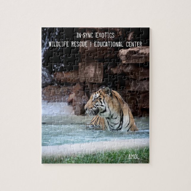 Puzzle Amol - (Vertical)