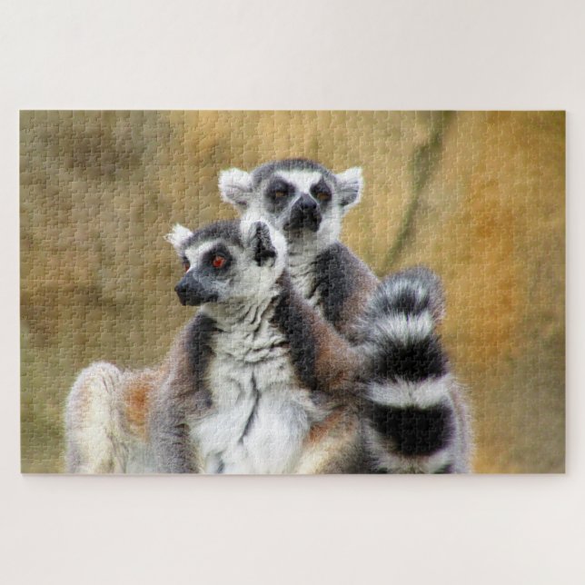 Puzzle amour de lemur (Horizontal)