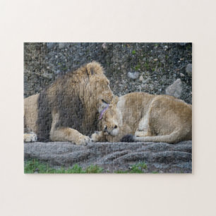 Puzzle Amour puissant de lion