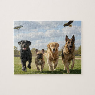 Puzzle Amoureux des chiens