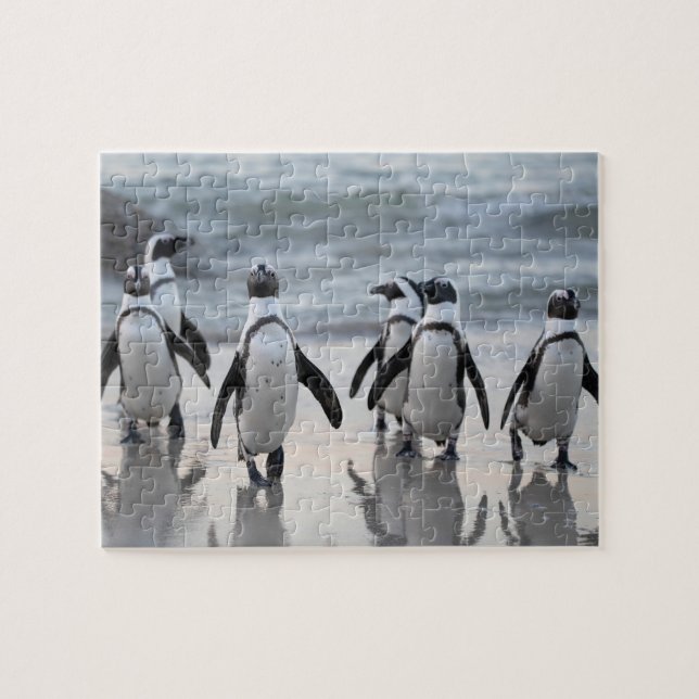 Puzzle Amusant Penguin Bird Faune Nature Art (Horizontal)