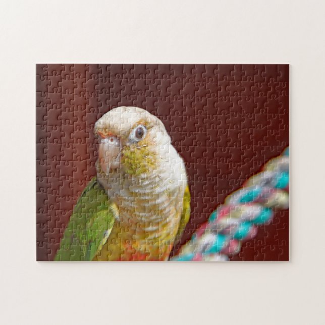 Puzzle ananas Conure (Horizontal)