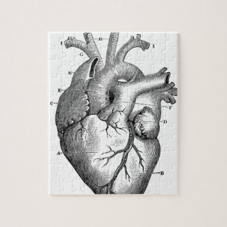 Puzzle Anatomie-Coeur-Image-Cru