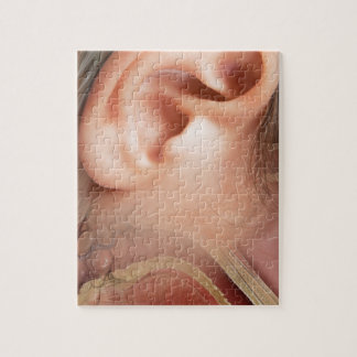 Puzzle Anatomie d'oreille