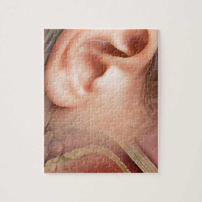 Puzzle Anatomie d'oreille (Vertical)