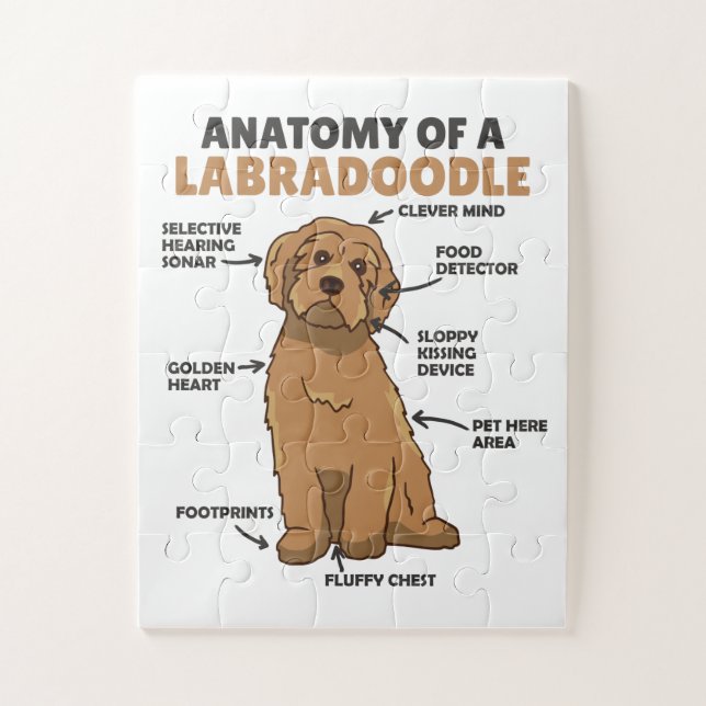 Puzzle Anatomie D'Un Labradoodle Cute Canine Chiot (Vertical)