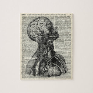 Puzzle Anatomie humaine Médicale