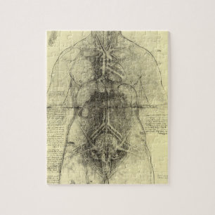 Puzzle Anatomie humaine, Torse féminine par Leonardo da V