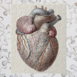 Puzzle Anatomie humaine vintage Organes cardiaques en san<br><div class="desc">Illustration vintage dessin sur la santé humaine et l'anatomie mettant en vedette le coeur. Le coeur humain est un organe qui assure la circulation sanguine dans tout le système cardiaque. C'est l'un des organes les plus vitaux du corps humain. Le coeur est divisé en quatre chambres principales : l'atria gauche...</div>