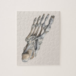 Puzzle Anatomie humaine vintage Science, pieds de squelet