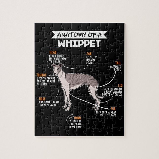 Puzzle anatomy of a whippet dog funny dog log (Vertical)