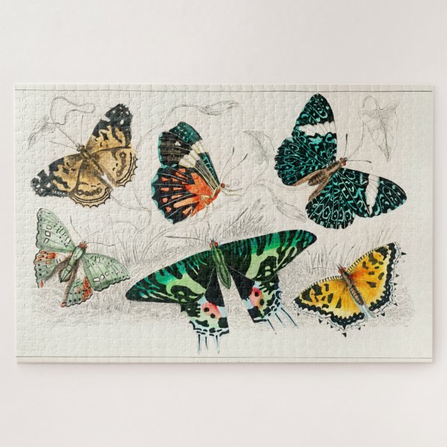 Puzzle Ancien Papillon vintage (Horizontal)