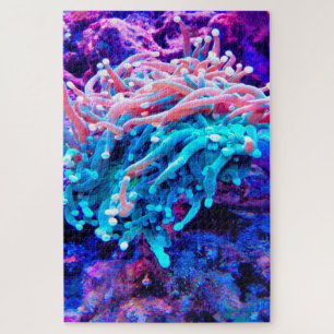 Puzzle Anémones de mer