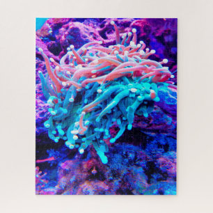 Puzzle Anémones de mer