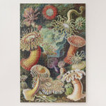 Puzzle Anémones de mer, Actiniae Seeanemonen Ernst Haecke<br><div class="desc">Sea Anemones,  Actiniae Seeanemonen Ernst Haeckel Puzzle Plante Vintage.</div>