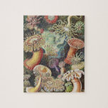 Puzzle Anémones de mer, Actiniae Seeanemonen Ernst Haecke<br><div class="desc">Sea Anemones,  Actiniae Seeanemonen Ernst Haeckel Puzzle Plante Vintage.</div>