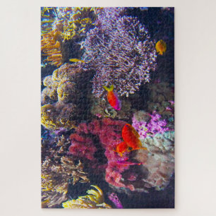 Puzzle Anémones de mer et poissons tropicaux.