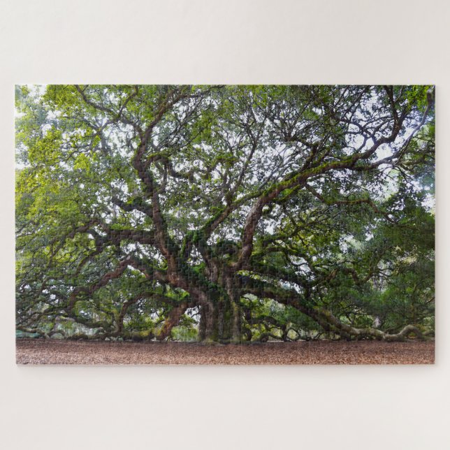 Puzzle Angel Oak, Caroline du Sud (Horizontal)