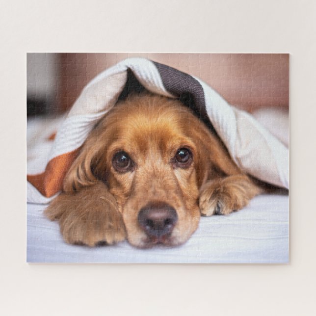 Puzzle Anglais Cocker Spaniel Chien (Horizontal)