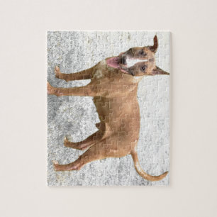Puzzle anglais de bull-terrier
